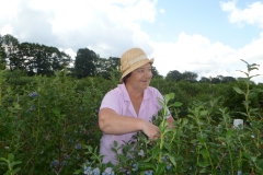 2011-08-08 Blueberry Farm (Lena visiting) 02